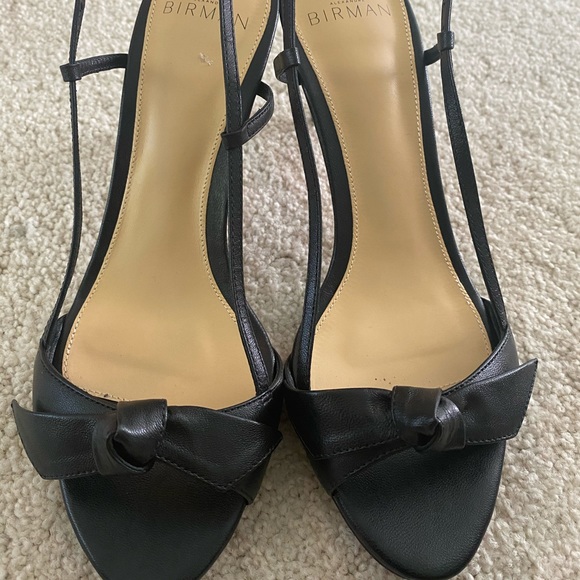 Alexandre Birman - Picture 2 of 2